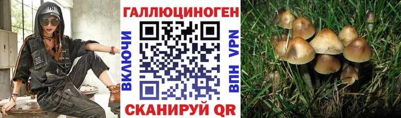 Псилоцибиновые грибы MAGIC MUSHROOMS Инза